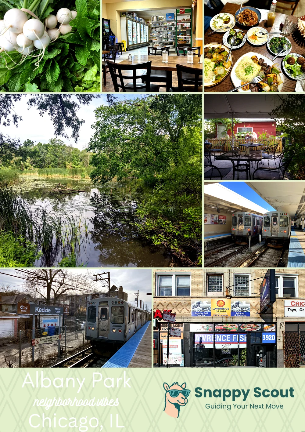 Albany Park neighborhood photo collage