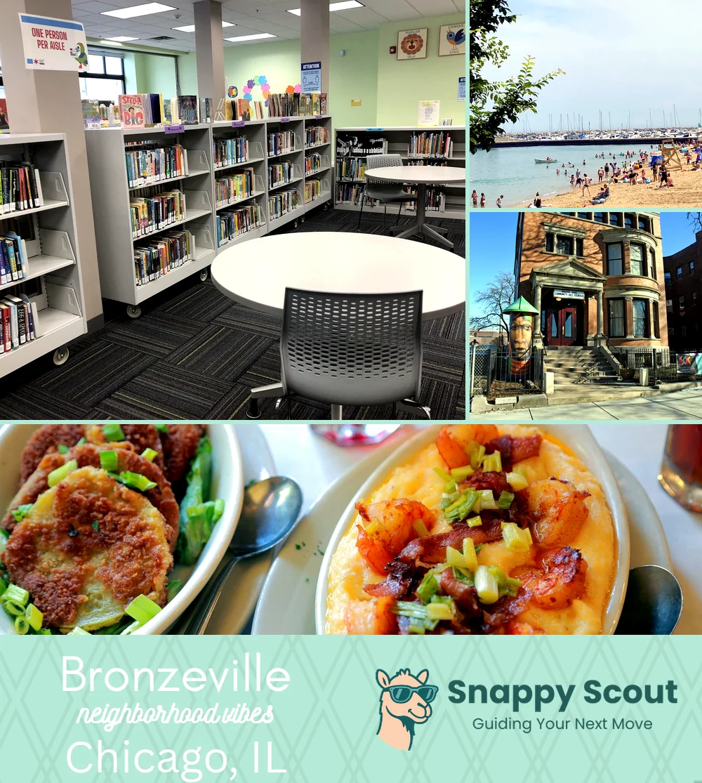 Bronzeville neighborhood photo collage