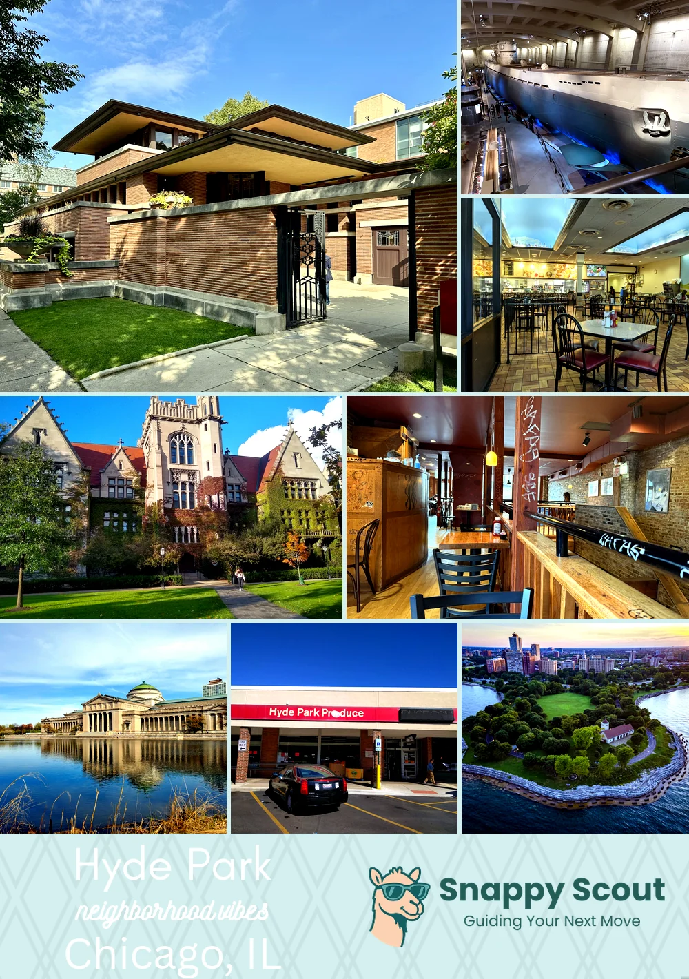 Hyde Park neighborhood photo collage