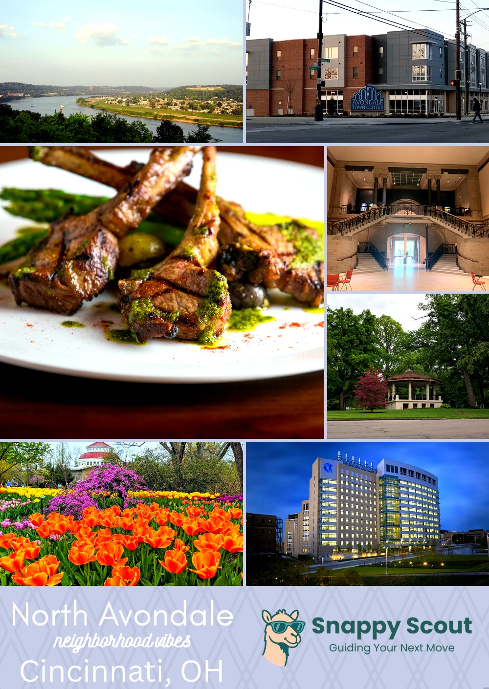 North Avondale neighborhood photo collage