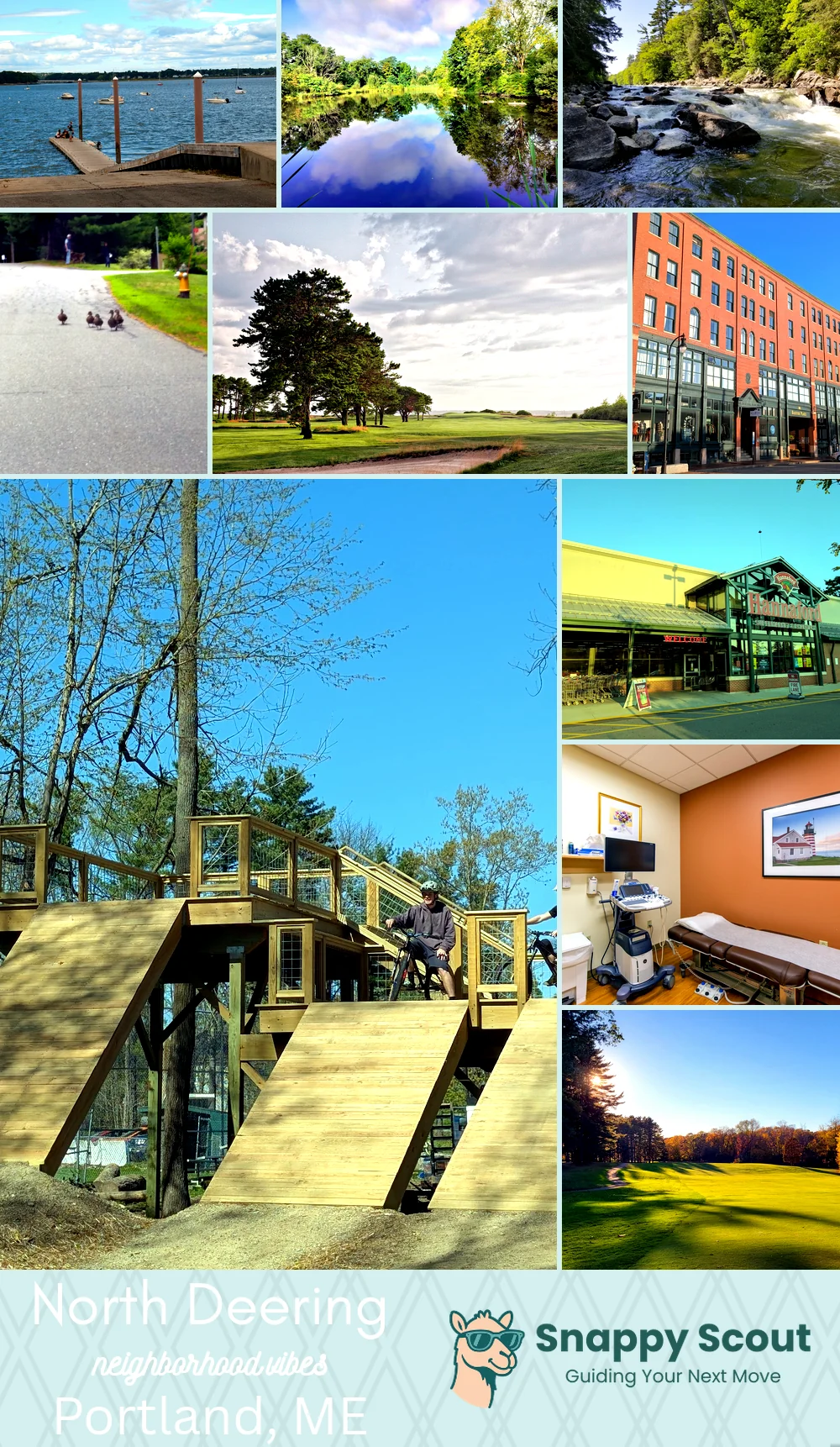 North Deering neighborhood photo collage