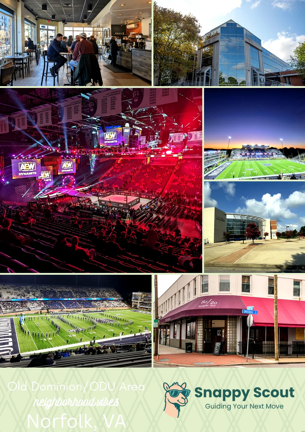 Old Dominion/ODU Area neighborhood photo collage