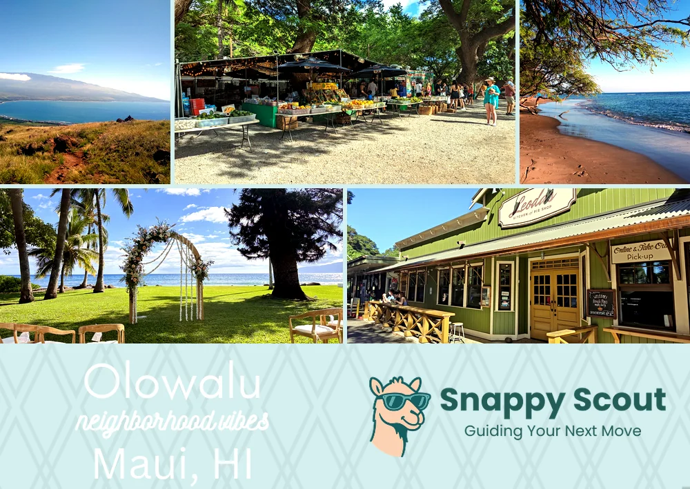 Olowalu neighborhood photo collage