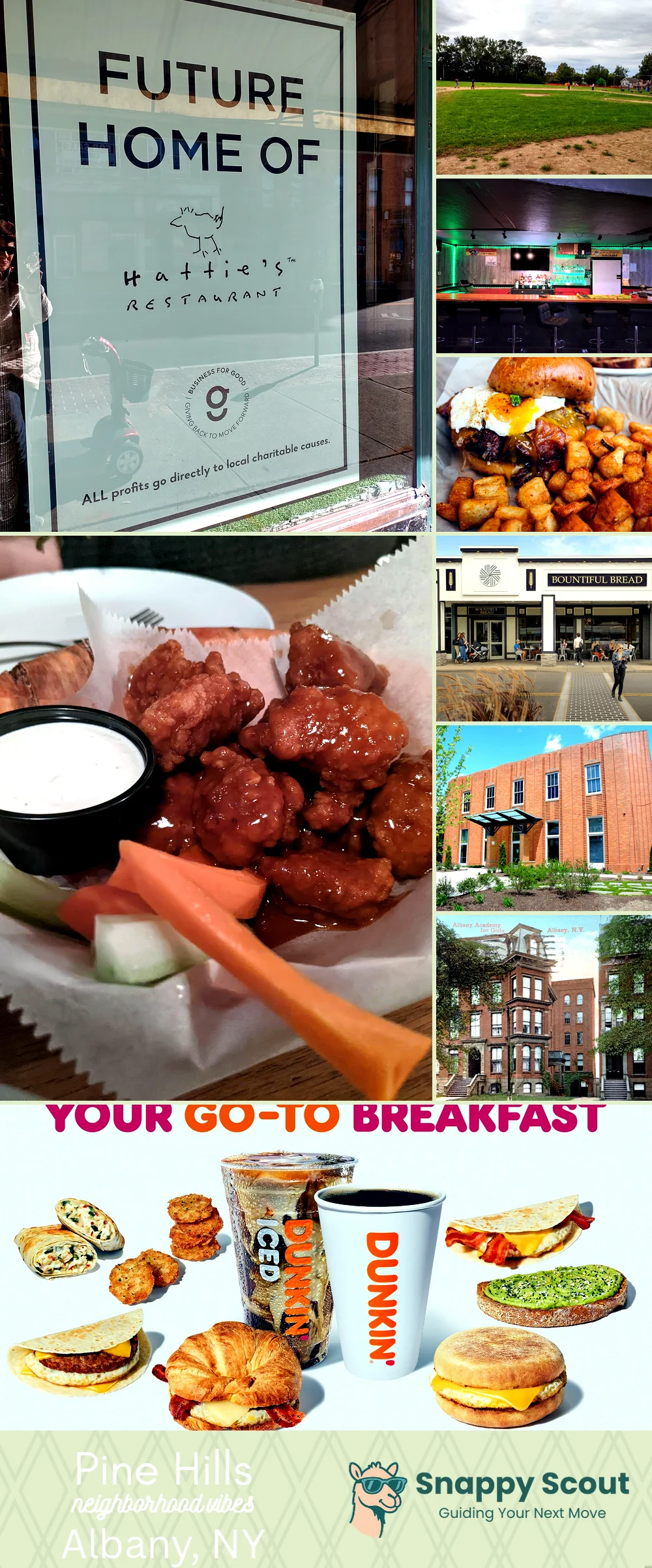 Pine Hills neighborhood photo collage