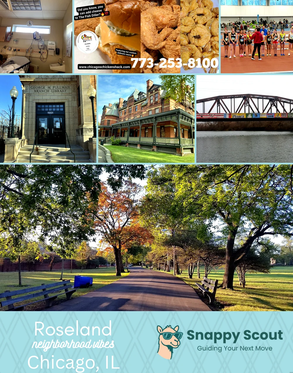 Roseland neighborhood photo collage