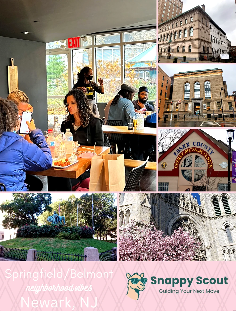 Springfield/Belmont neighborhood photo collage