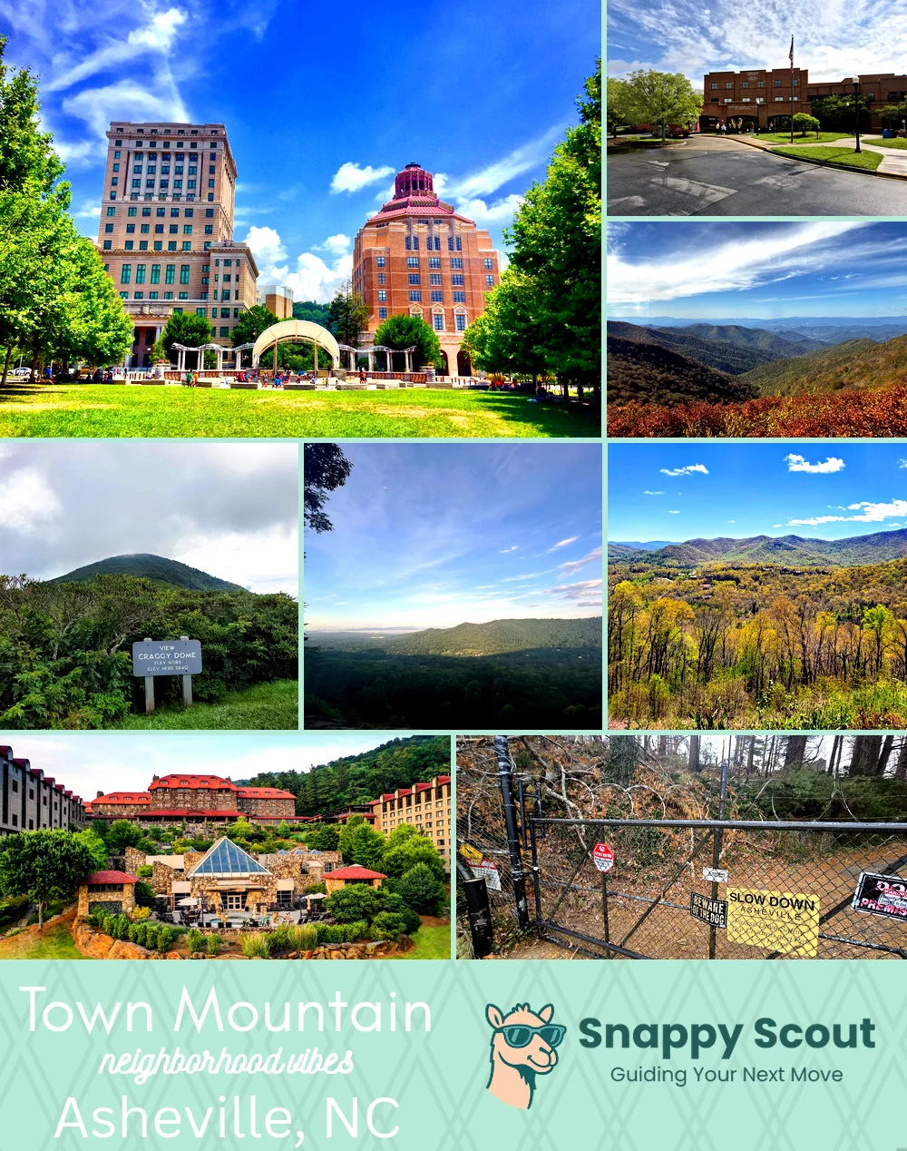 Town Mountain neighborhood photo collage