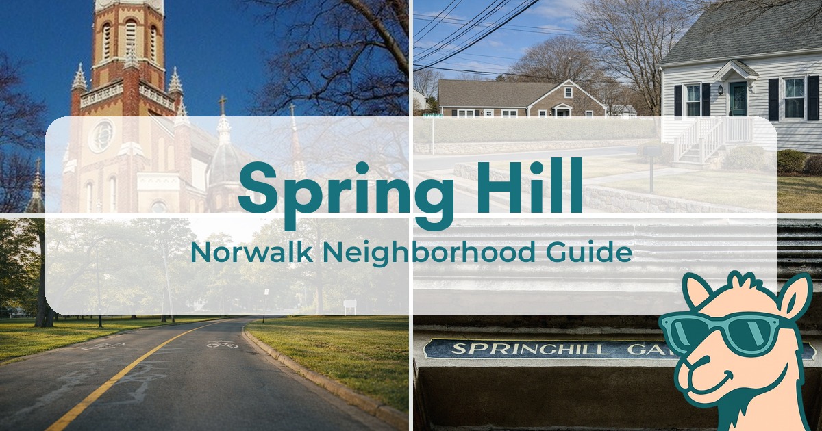 Spring Hill Neighborhood Guide | Where Yards Get Small