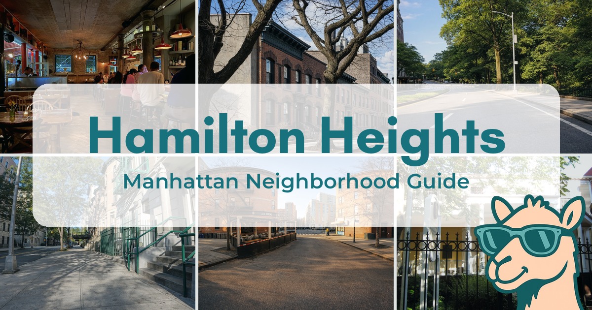 Hamilton Heights Neighborhood Guide | Where Brownstones Meet Bodega Cats